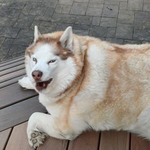 345